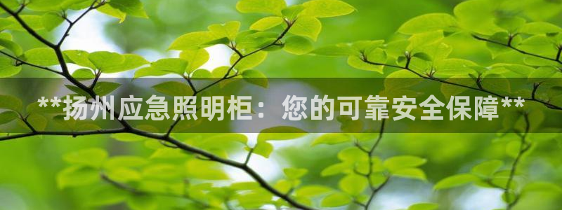 云顶国际是黑台吗知乎