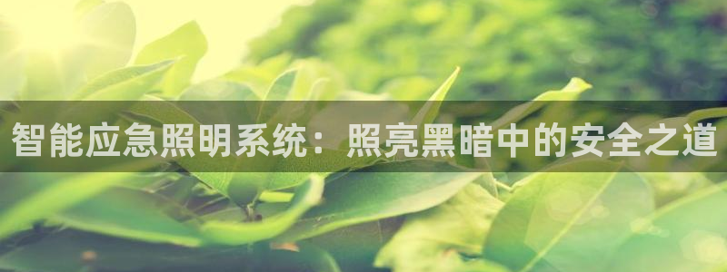 云顶集团招聘是真的吗